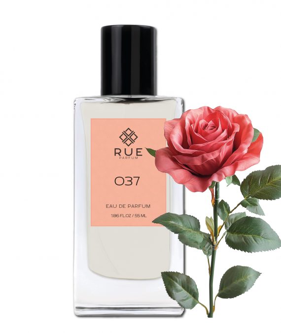 RUE 037