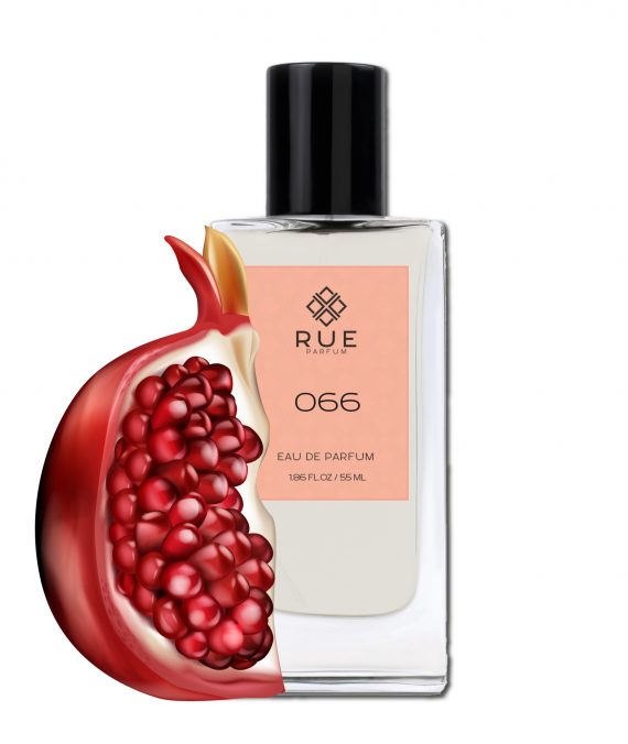 RUE 066